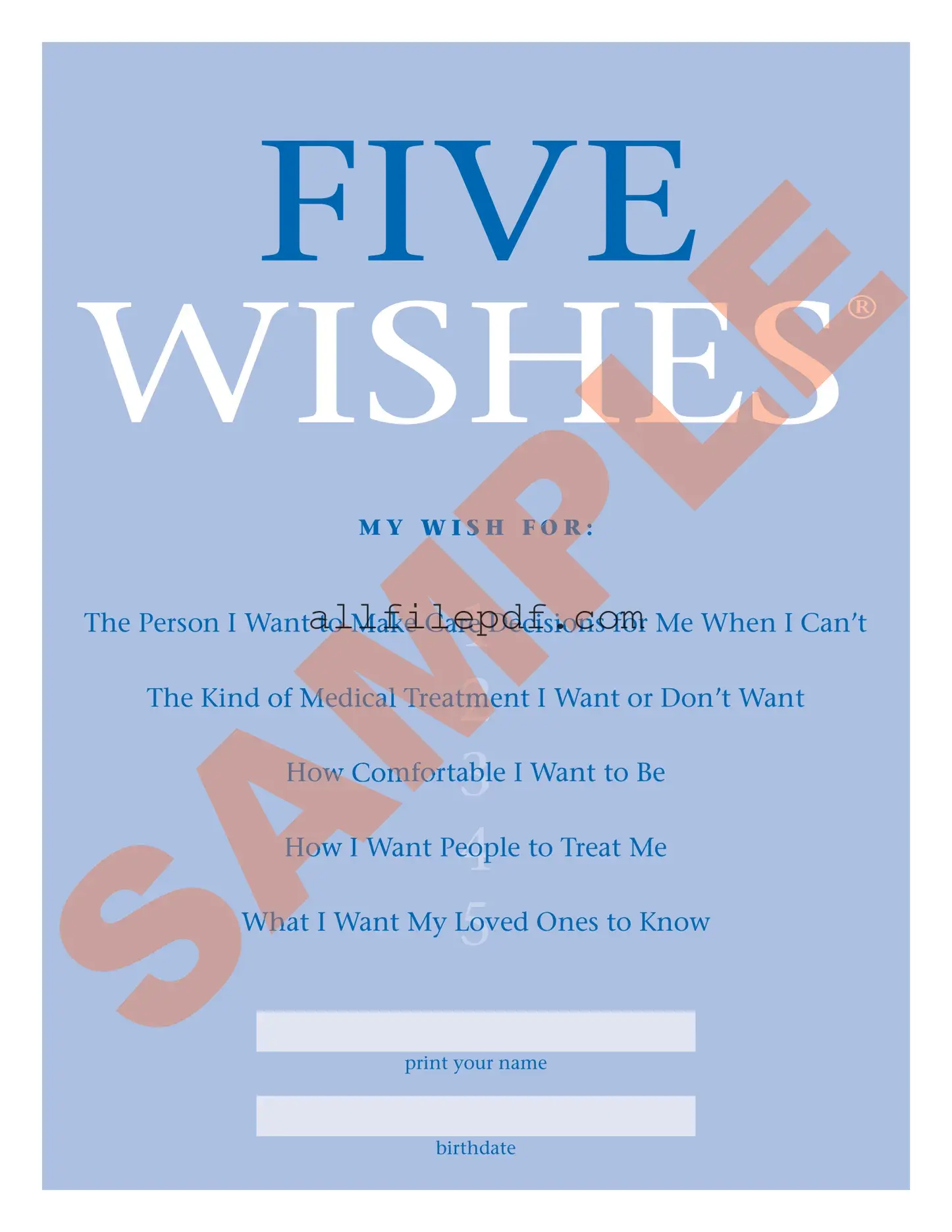Blank 5 Wishes Document PDF Form