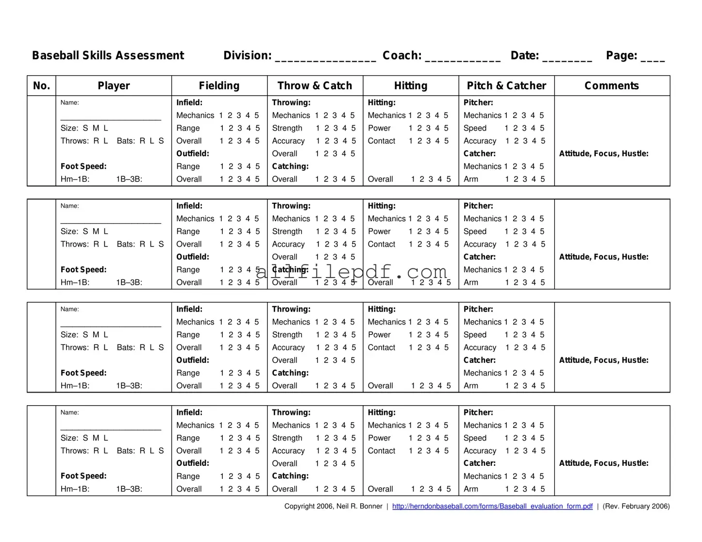Blank Baseball Assessment PDF Form