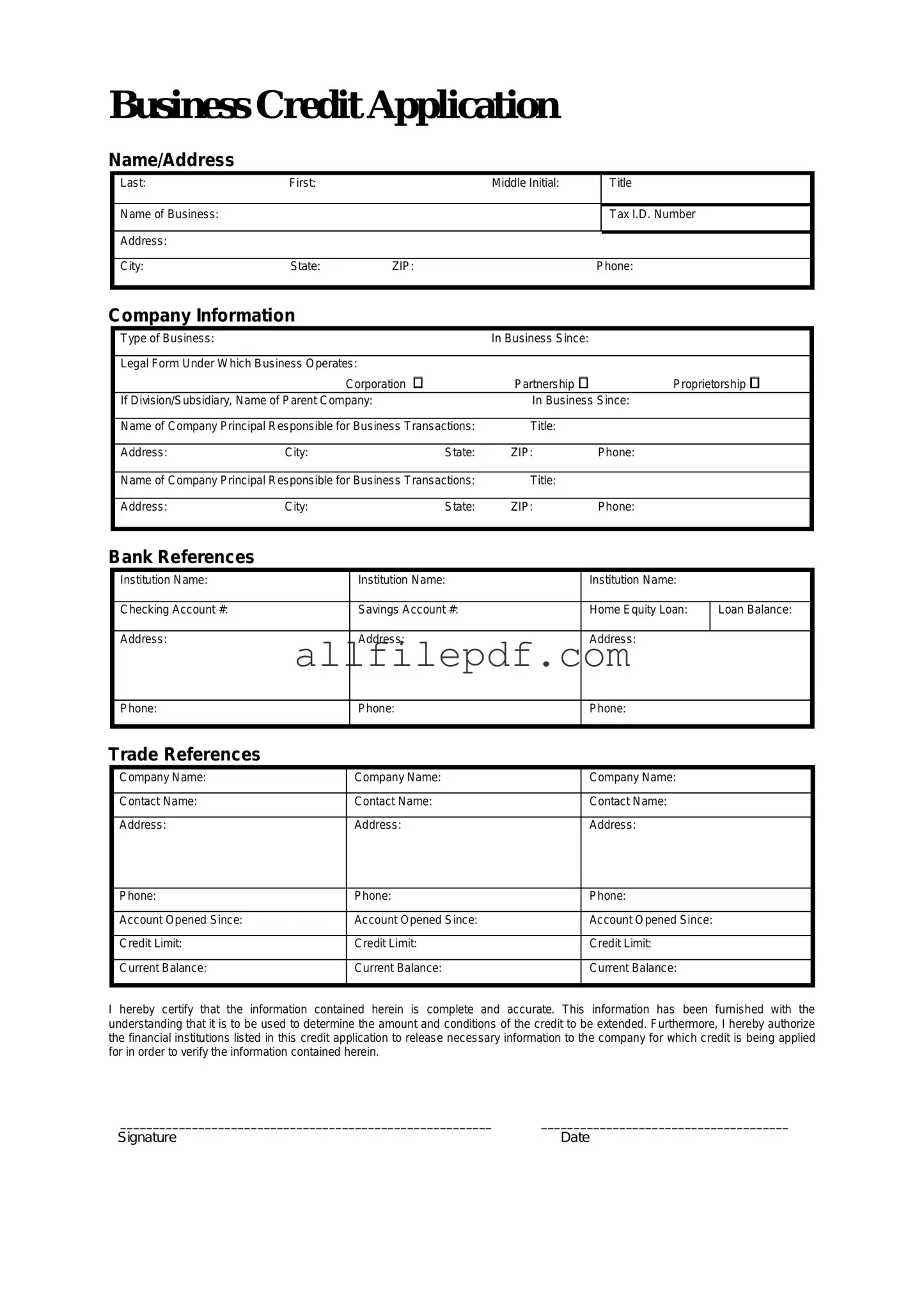 Blank Business Credit Application PDF Form