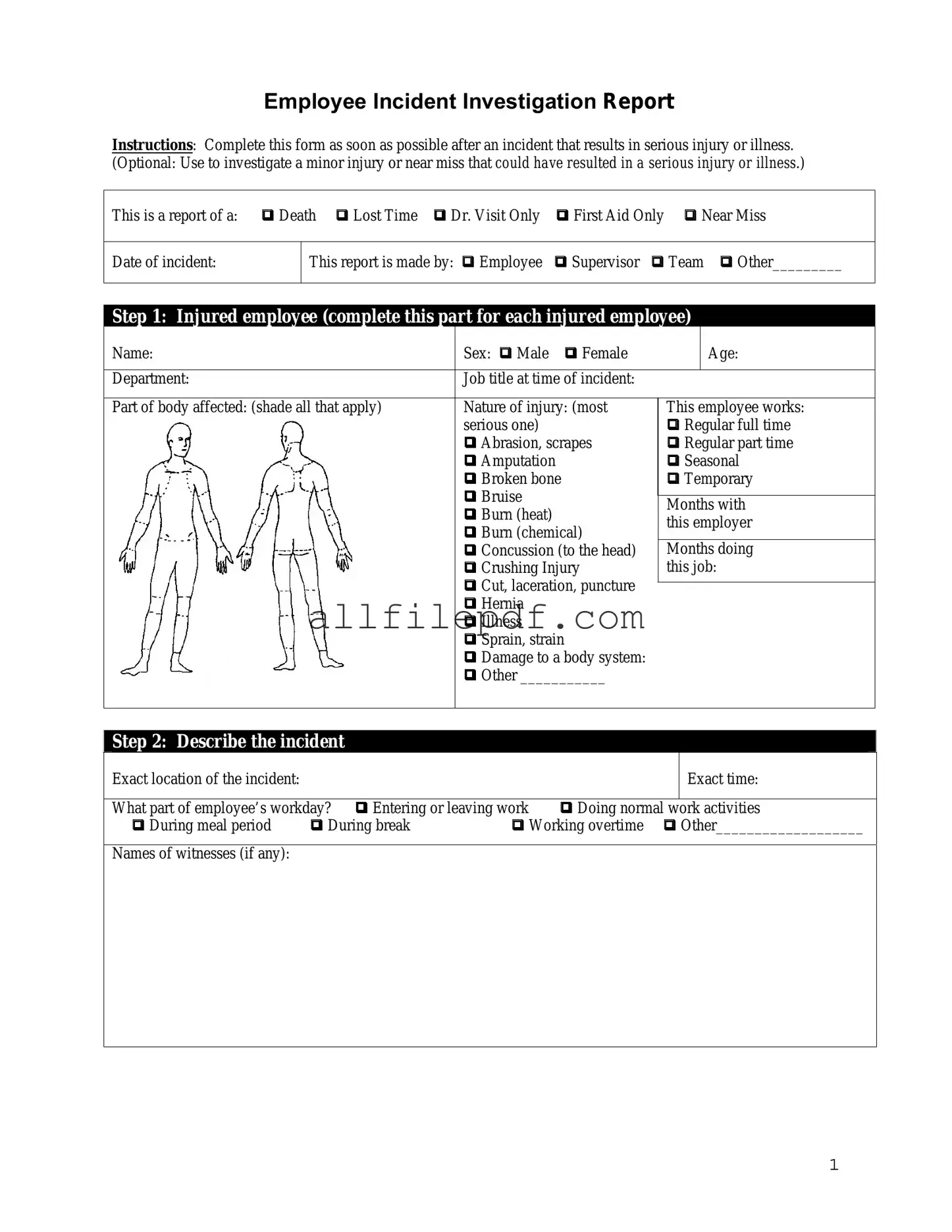 Blank Employee Accident Report PDF Form