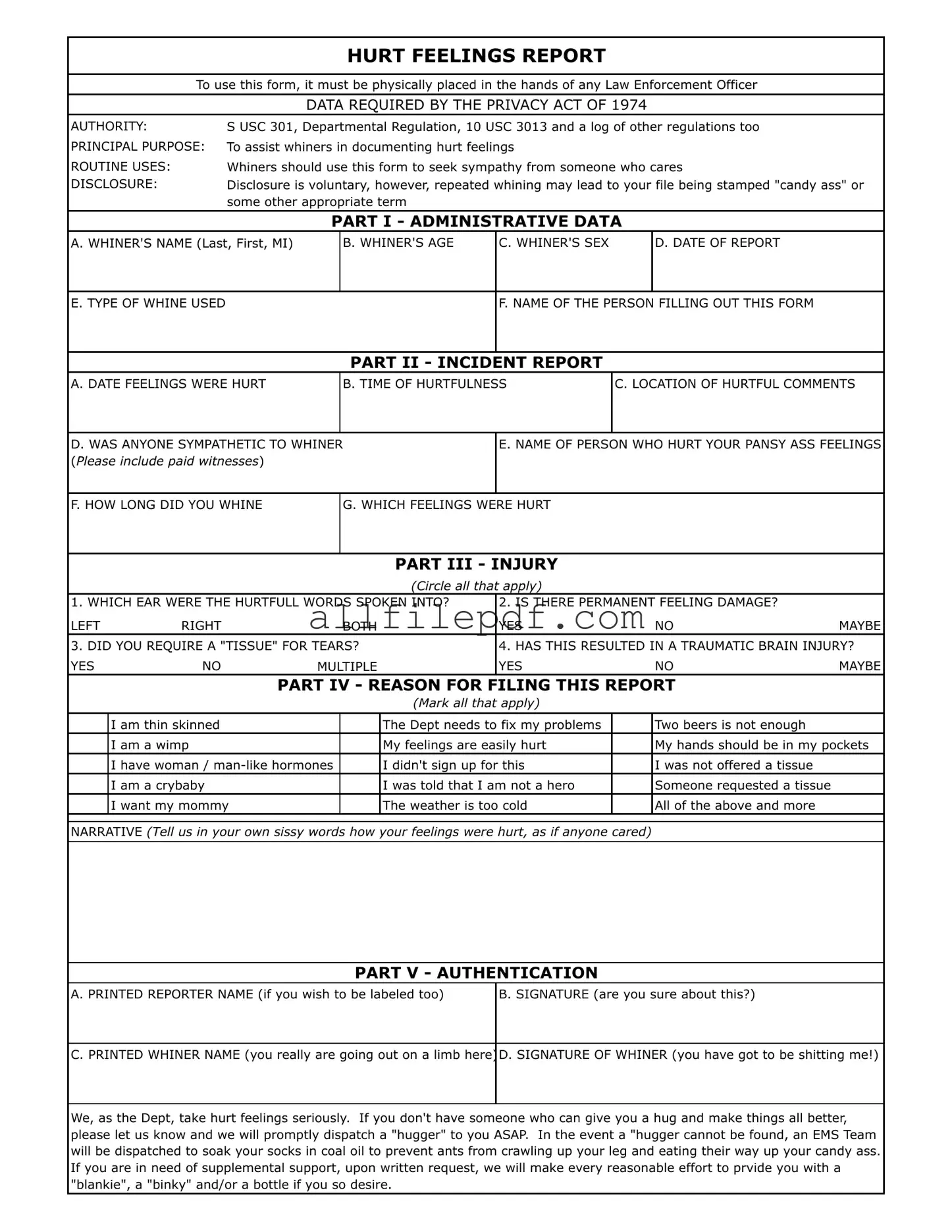 Blank Hurt Feelings Report PDF Form