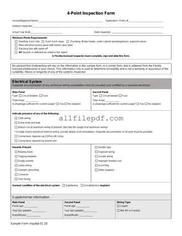 Blank 4 Point Inspection PDF Form