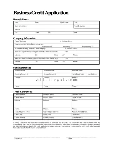 Blank Business Credit Application PDF Form