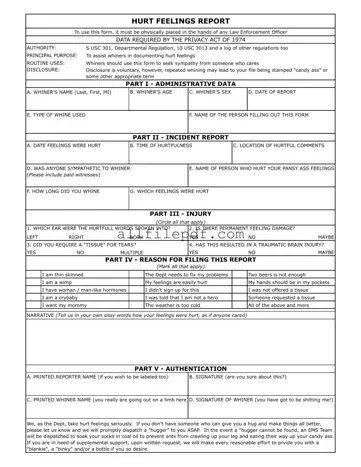 Blank Hurt Feelings Report PDF Form