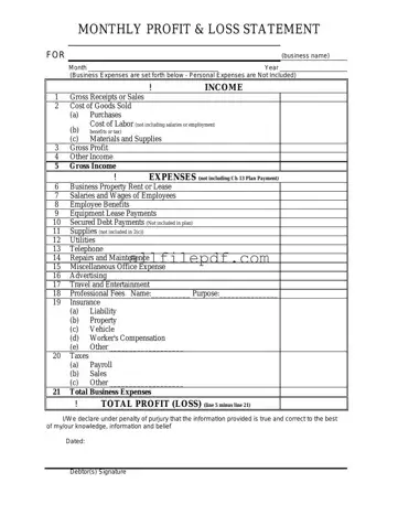 Blank Profit And Loss PDF Form