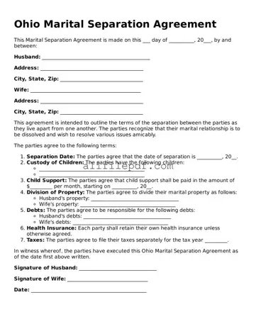 Official  Marital Separation Agreement Document for Ohio