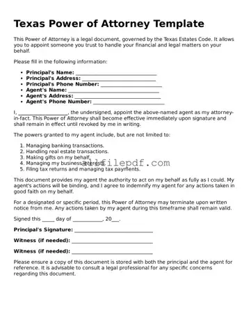Official  Power of Attorney Document for Texas