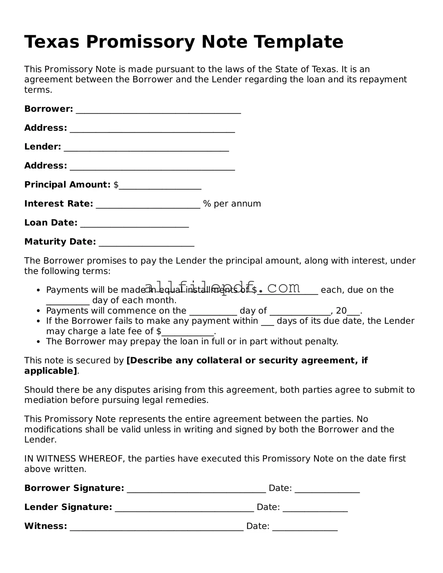 Official  Promissory Note Document for Texas