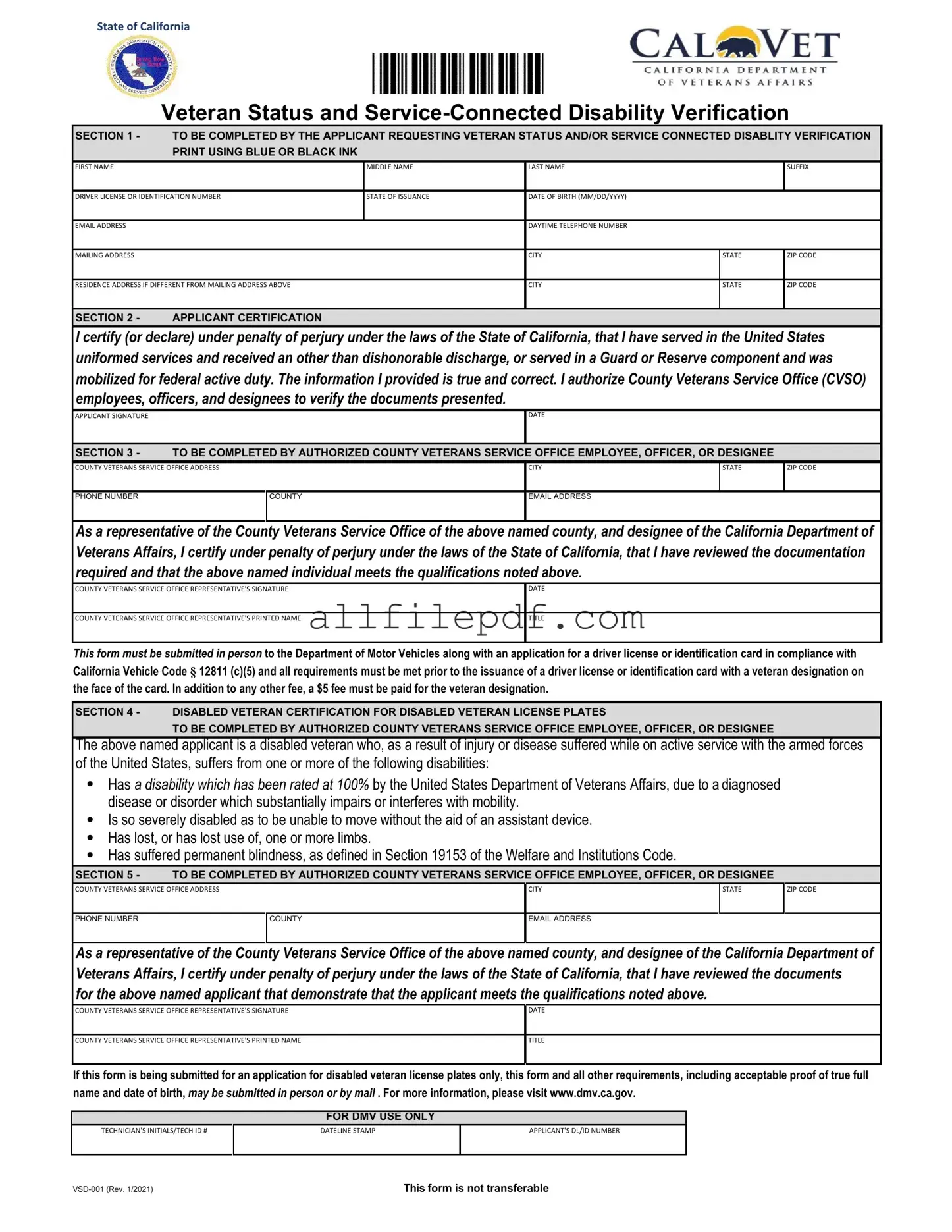 Blank Vsd 001 PDF Form